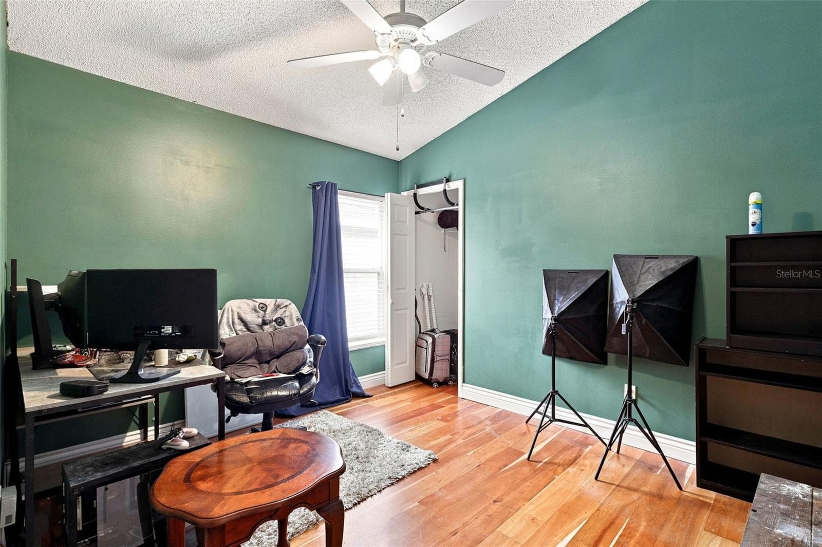 Secondary bedroom with vaulted ceiling, wood flooring and flexible space for a variety of needs. - 13637 EMERALDVIEW DR, ORLANDO
