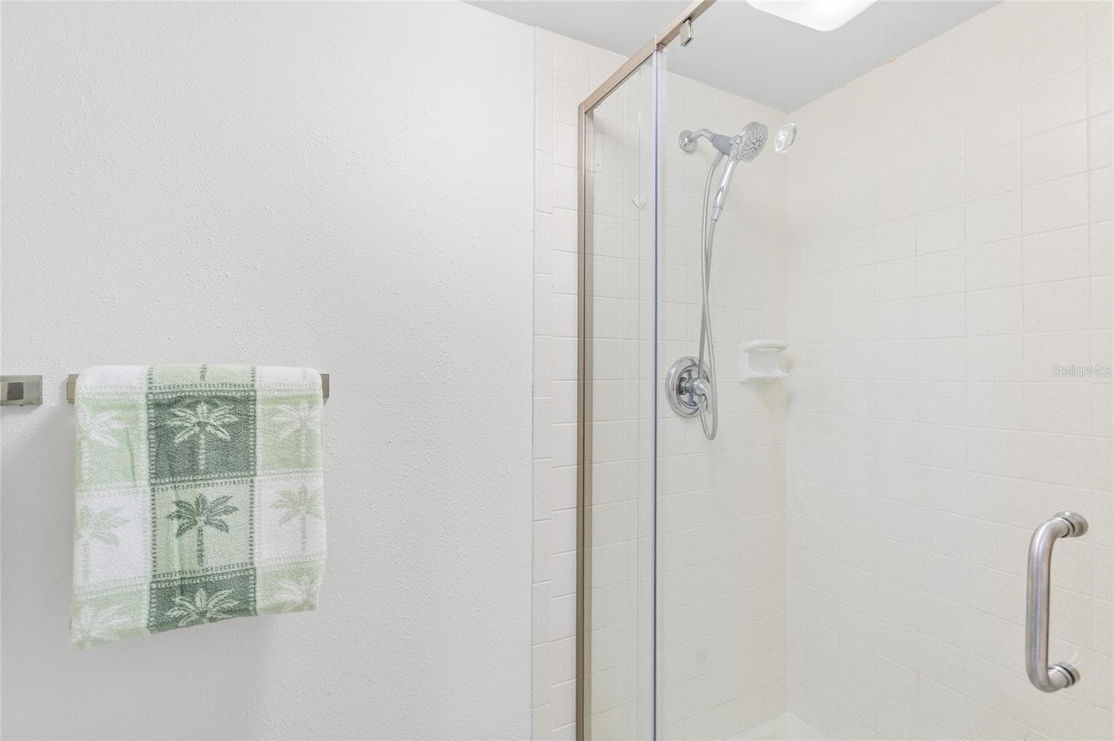 Primary Suite - 13626 GREENFIELD DR #109, TAMPA