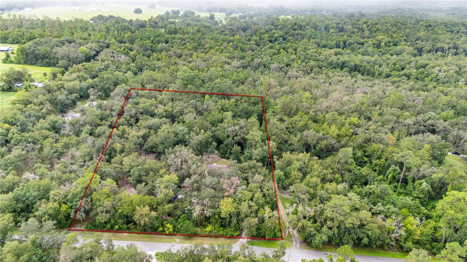 Single Family Residence at 24142 TAMBER ROAD, BROOKSVILLE, photo 91 of 94