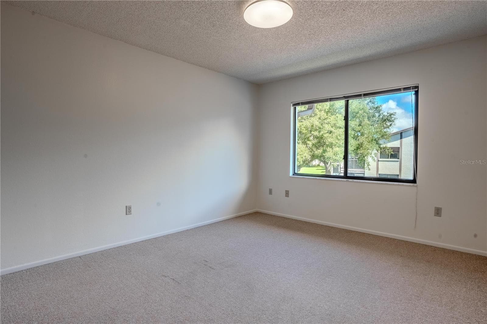 Condominium at 612 BALDWIN AVE #C, SAFETY HARBOR, photo 19 of 42