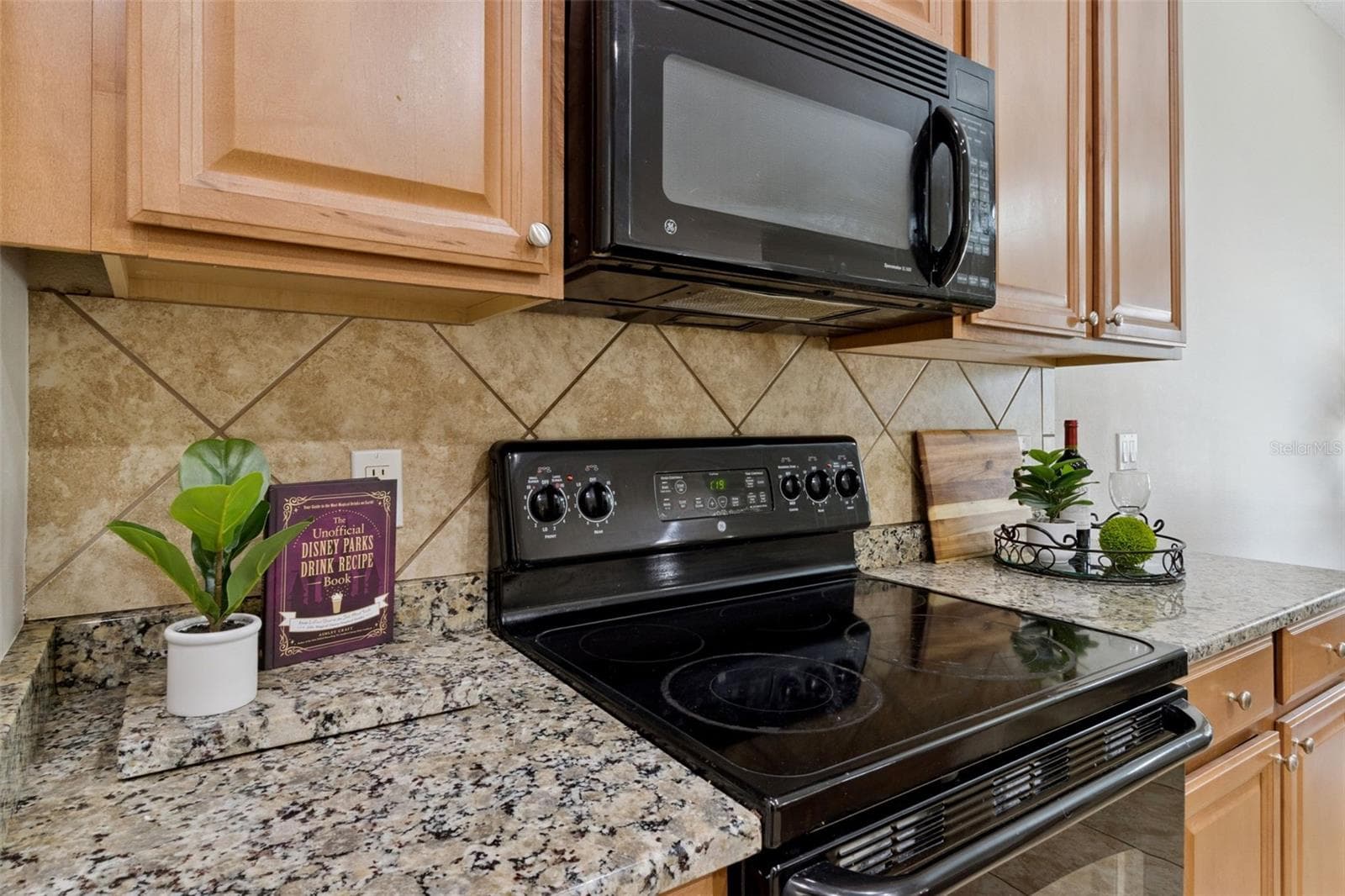 Single Family Residence at 5830 ANSLEY WAY, MOUNT DORA, photo 13 of 100