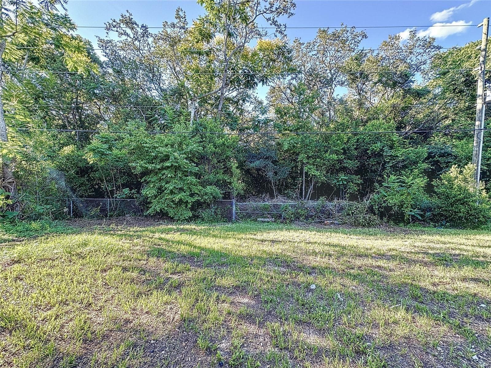 BACKYARD FROM HOUSE - 7211 PINION DR, ORLANDO
