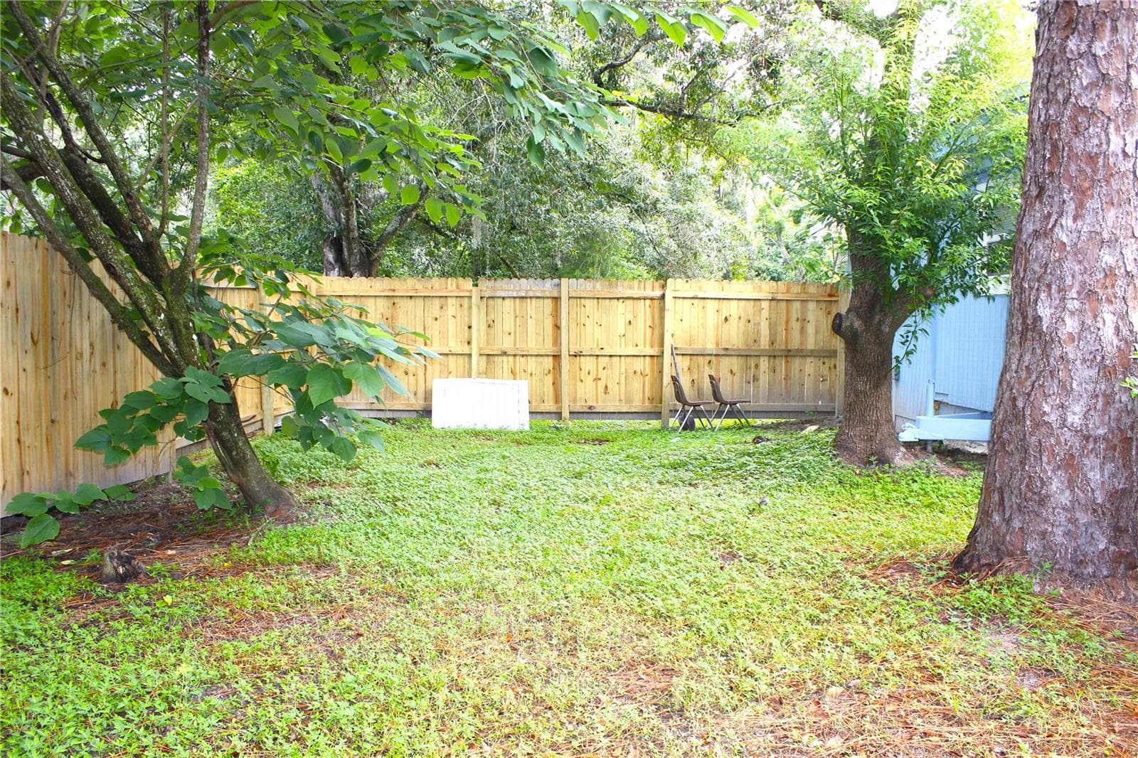 FENCED BACKYARD - 6934 AZLEE AVE, NEW PORT RICHEY
