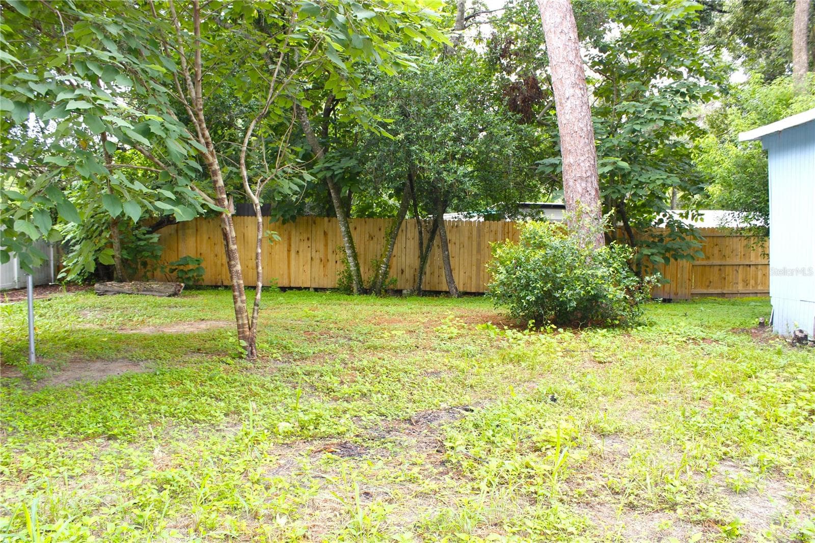 FENCED BACKYARD - 6934 AZLEE AVE, NEW PORT RICHEY