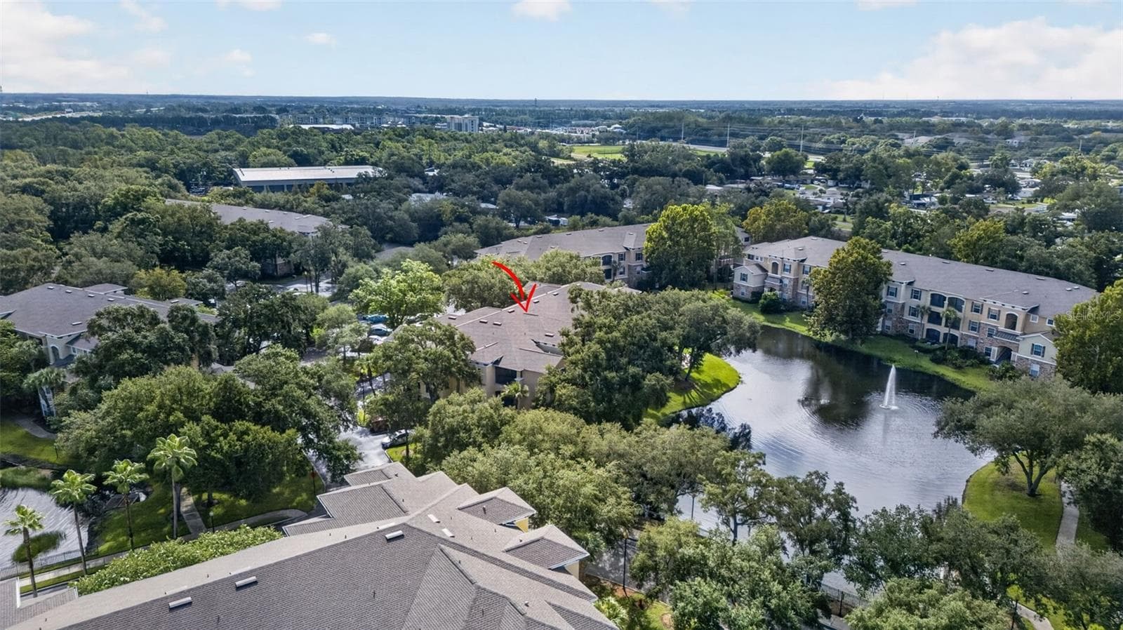 Picturesque aerial view - 10103 COURTNEY OAKS CIR #302, TAMPA