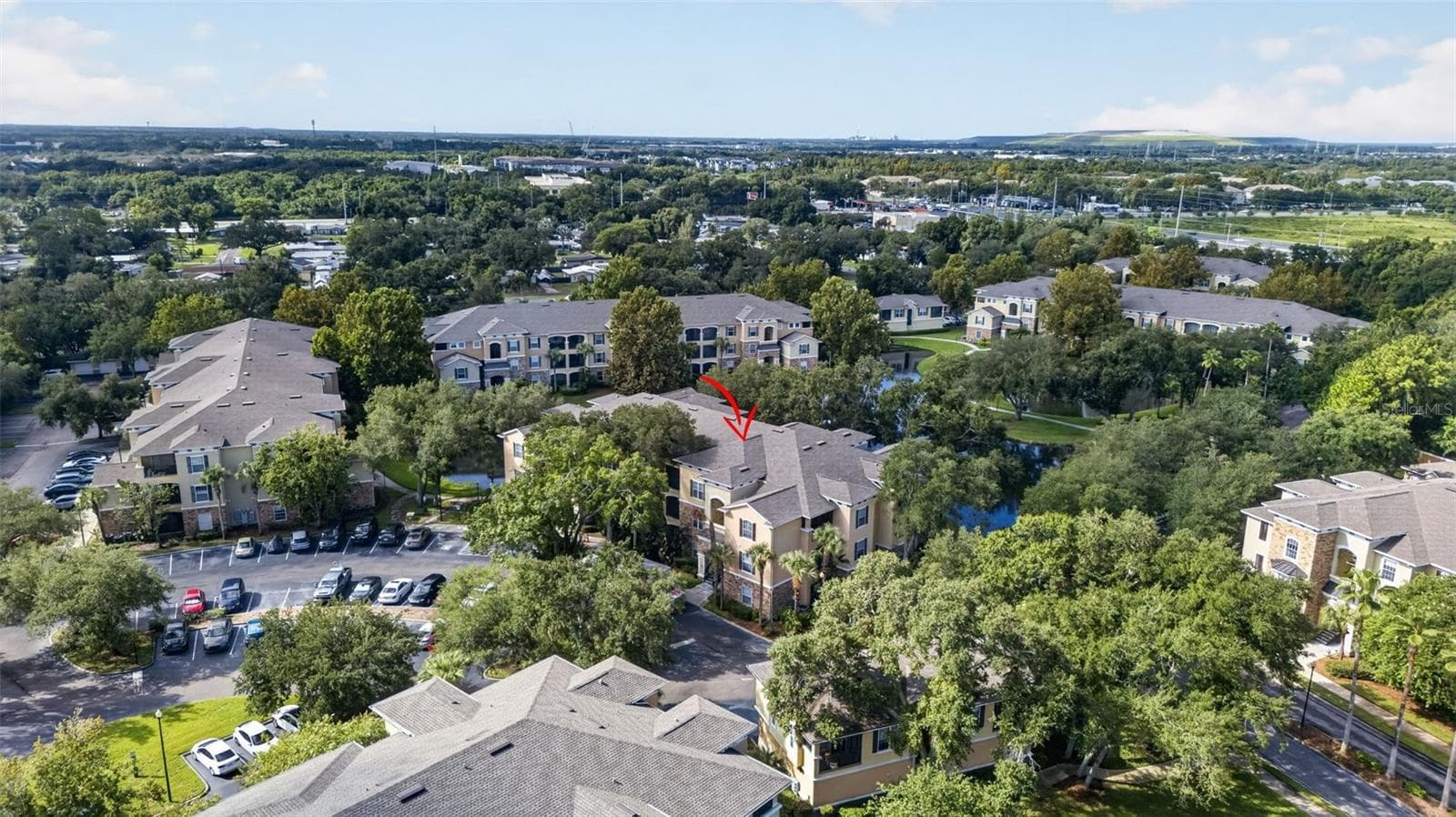 Picturesque aerial view - 10103 COURTNEY OAKS CIR #302, TAMPA