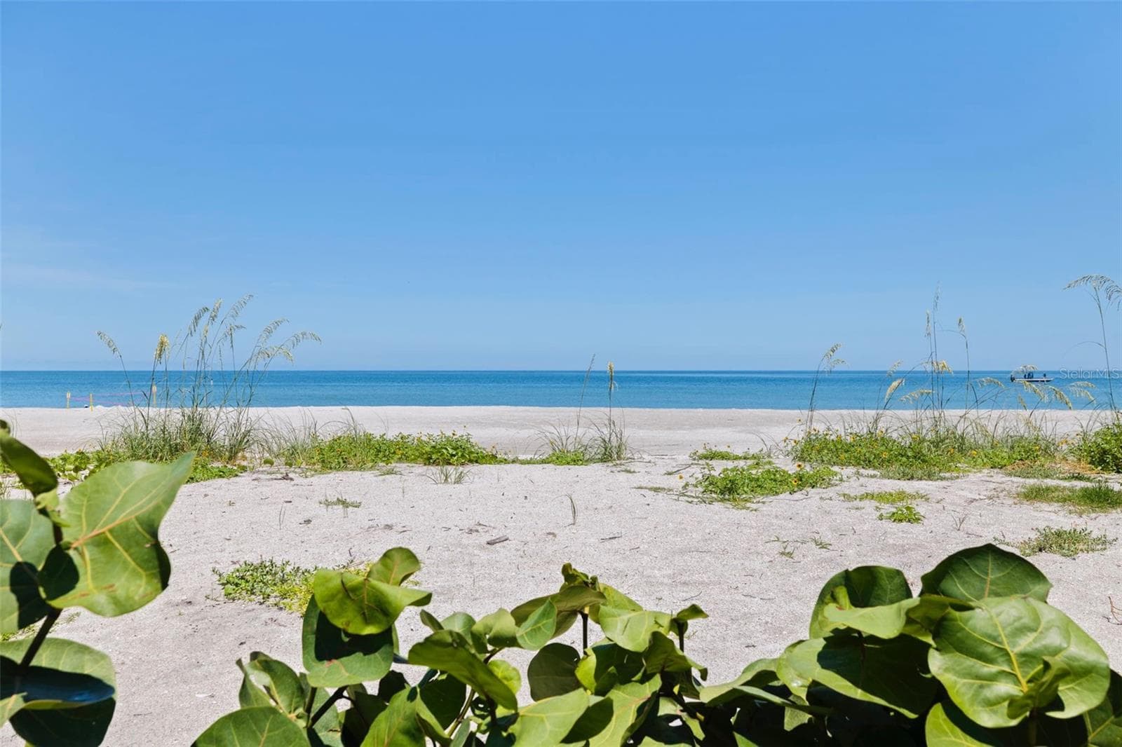 Condominium at 1520 GULF BLVD #1901, CLEARWATER, photo 65 of 70