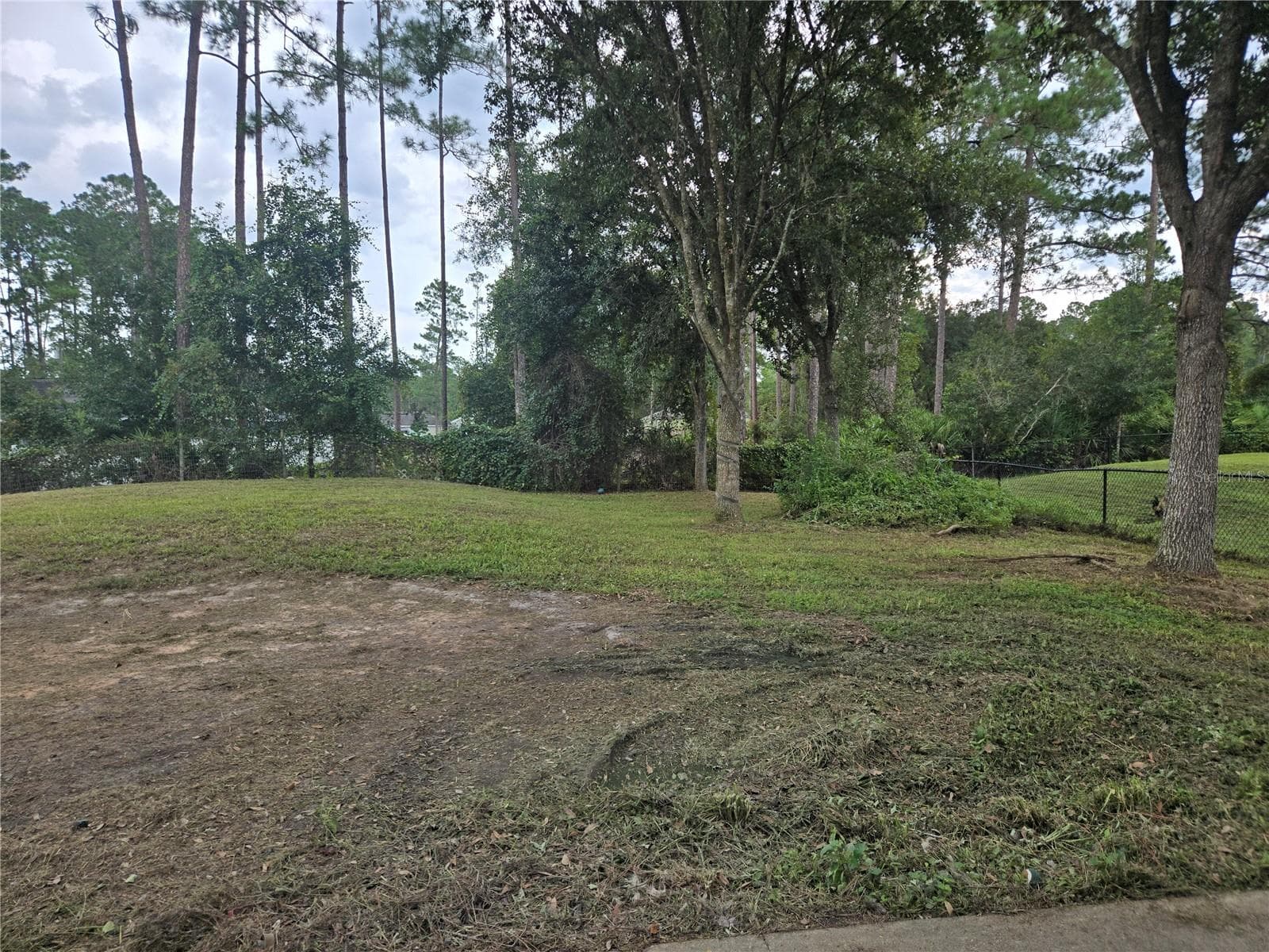 Yard - 1715 9TH AVE, DELAND