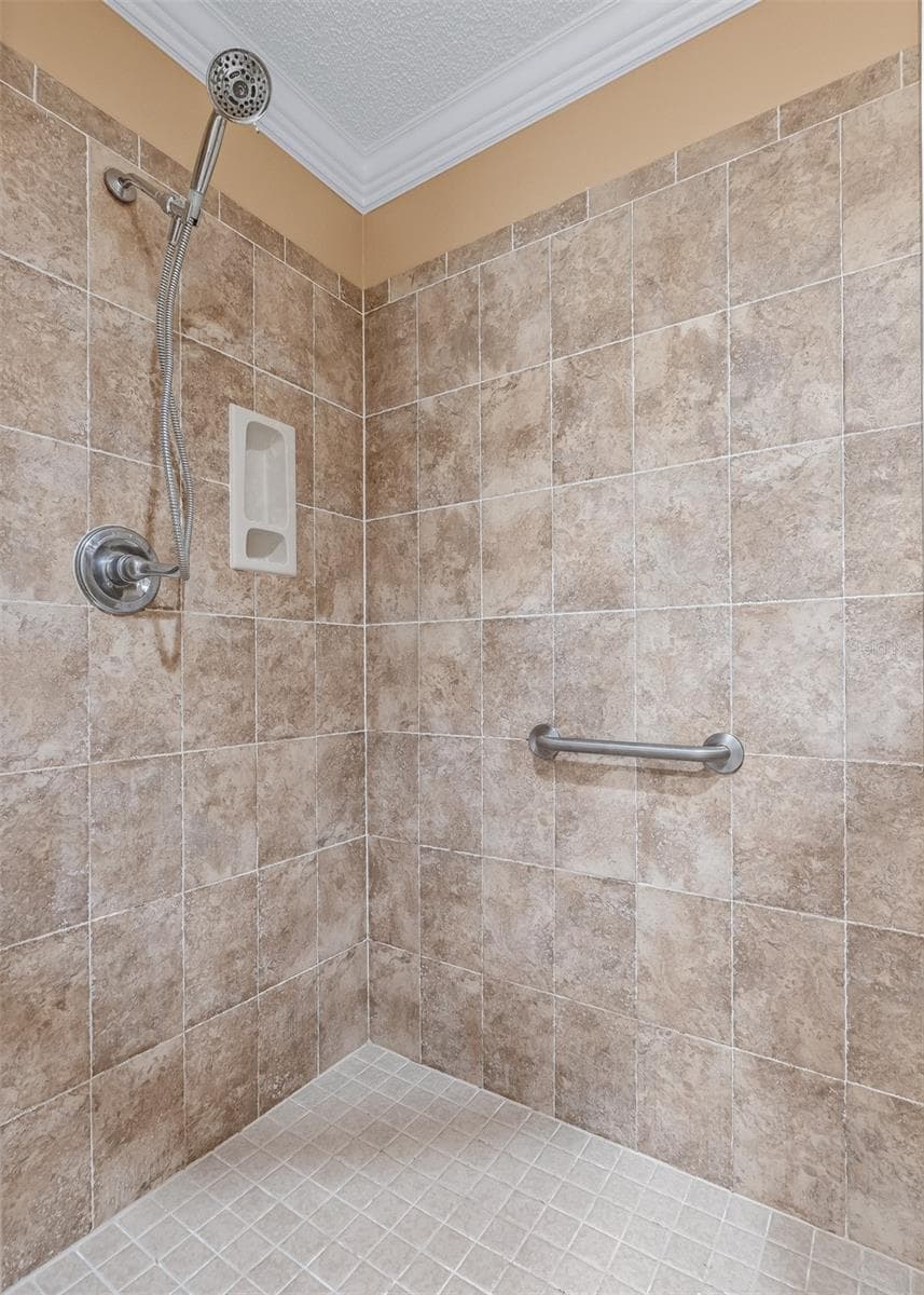 Tiled walk-in shower with handheld showerhead, built-in niche and grab bar for added comfort and convenience. - 17601 SE 81ST TIMBERWOOD TER, THE VILLAGES