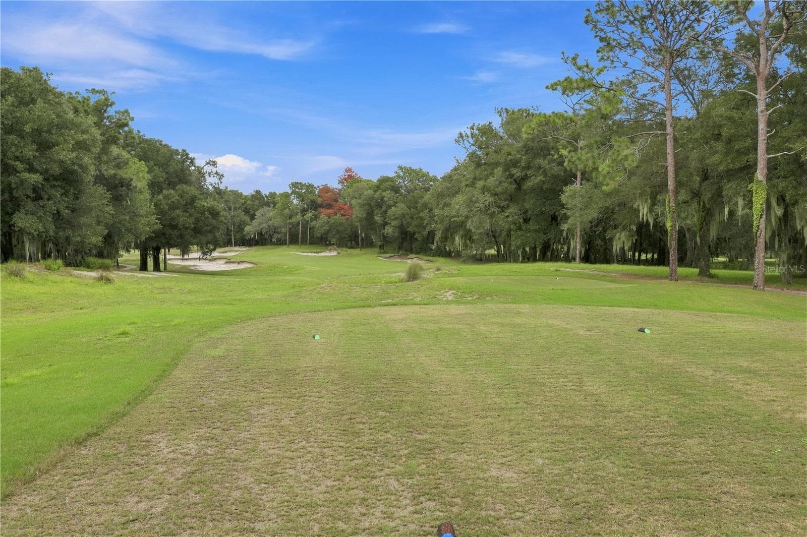 View of golf course - 114 IVYDALE MANOR DR, DELAND