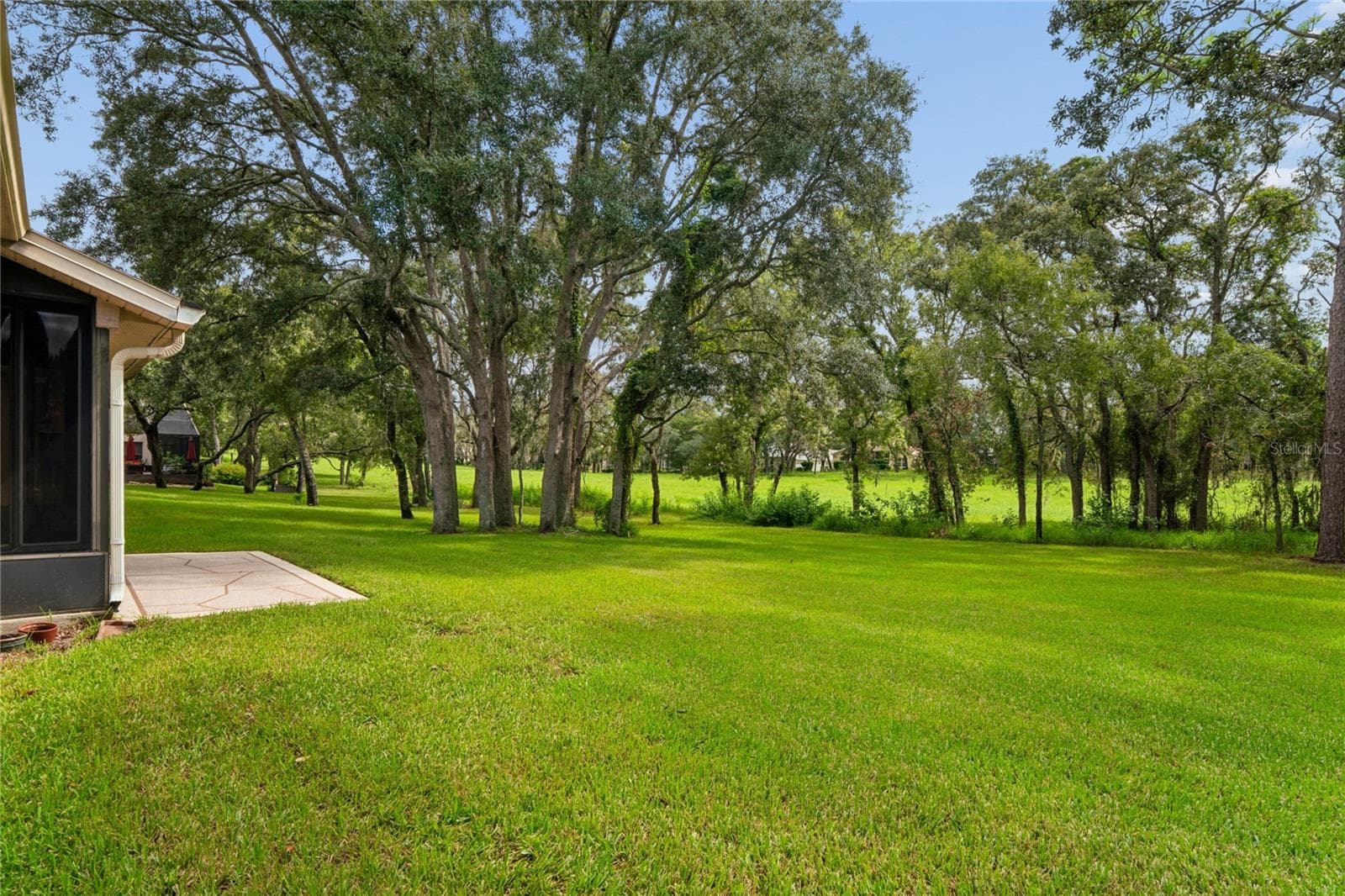 Single Family Residence at 430 CANDLESTONE CT, SPRING HILL, photo 46 of 85