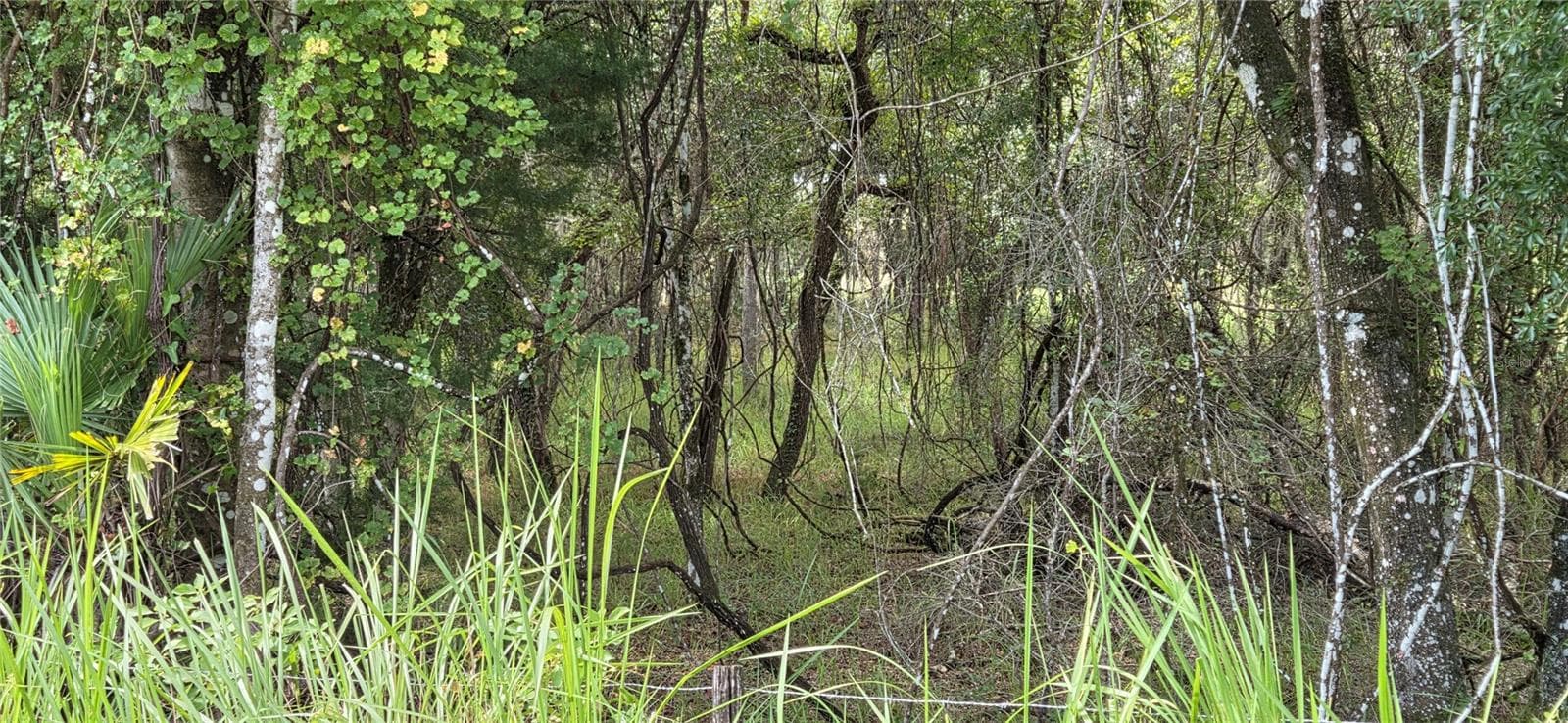 Land at 10442 E MOCCASIN SLOUGH RD, INVERNESS, photo 5 of 13