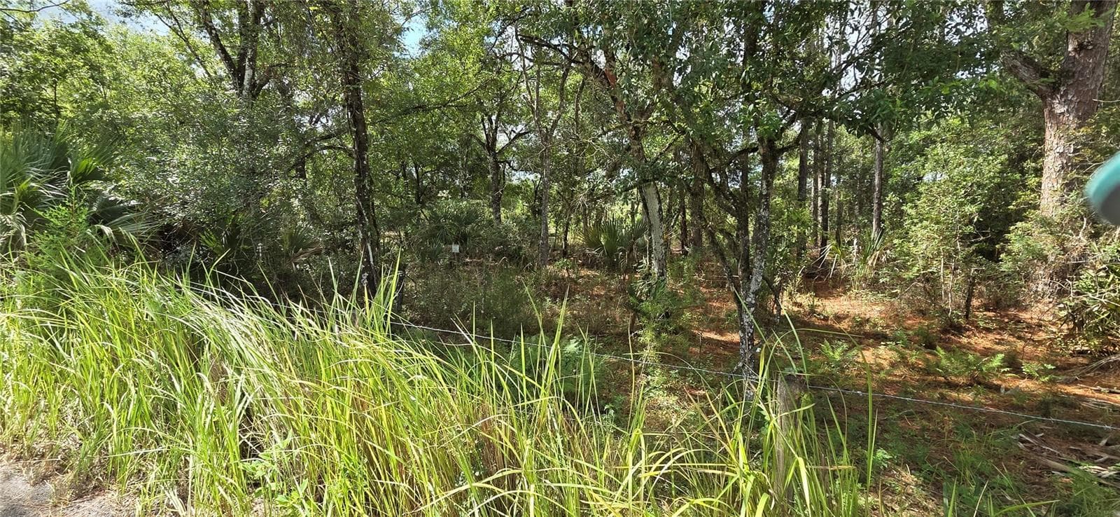 Land at 10442 E MOCCASIN SLOUGH RD, INVERNESS, photo 6 of 13