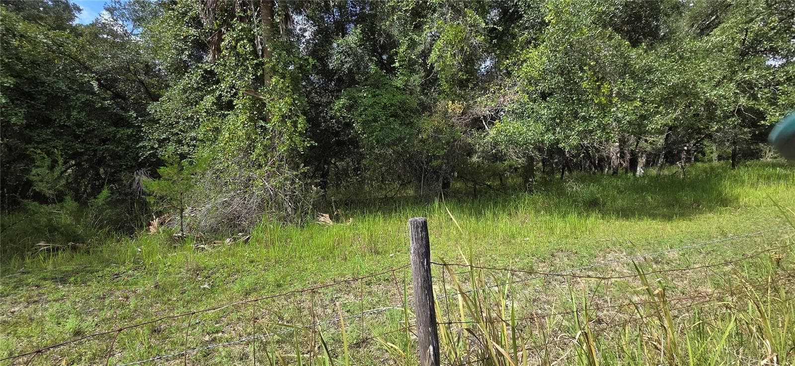 Land at 10442 E MOCCASIN SLOUGH RD, INVERNESS, photo 8 of 13