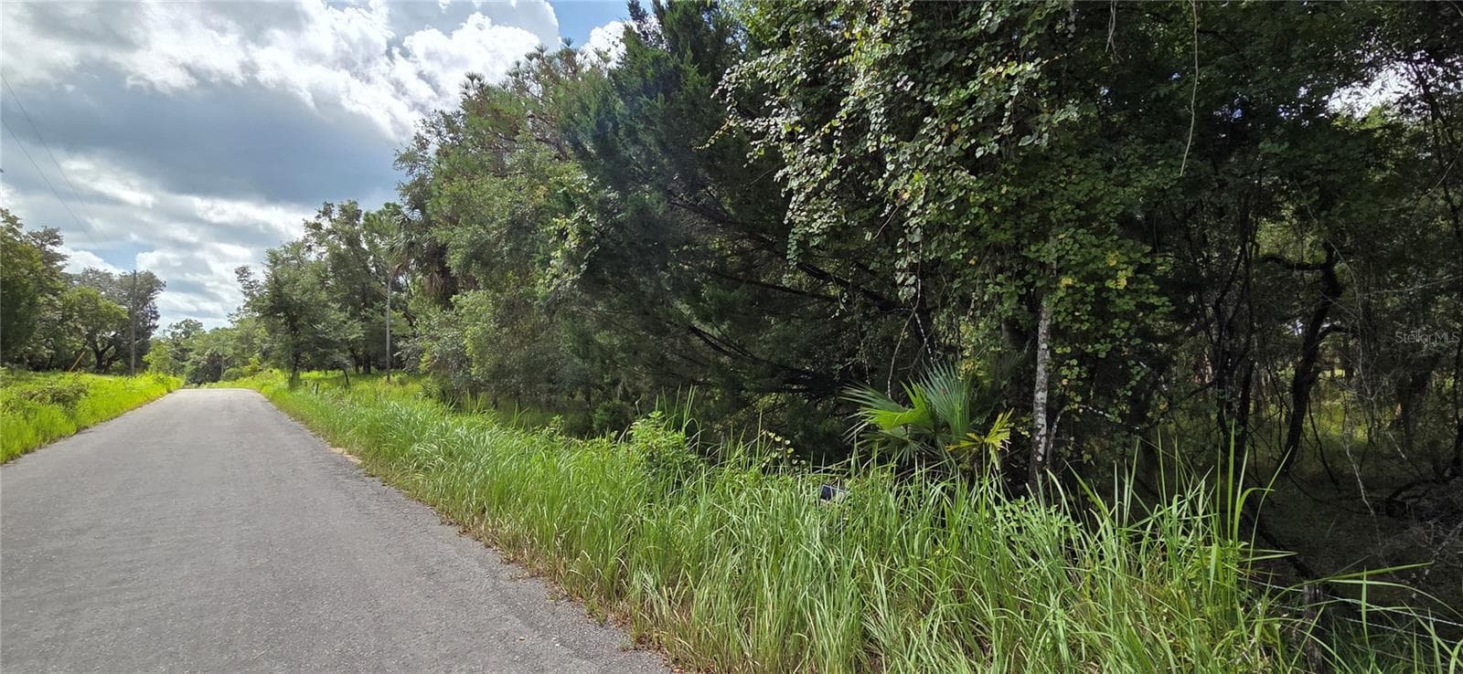Land at 10442 E MOCCASIN SLOUGH RD, INVERNESS, photo 12 of 13