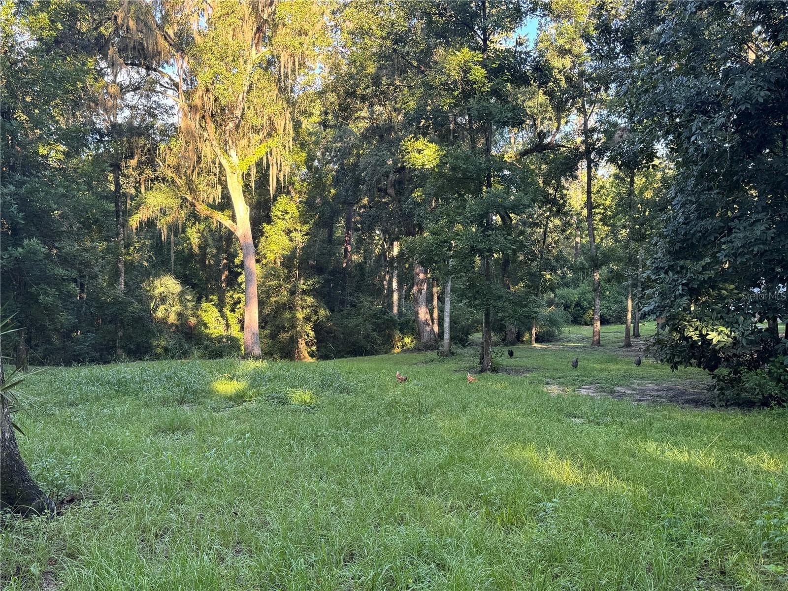 Single Family Residence at 24142 TAMBER ROAD, BROOKSVILLE, photo 57 of 94
