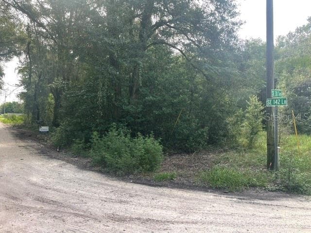 Land at TBD SE 142ND LN, SUMMERFIELD, photo 4 of 4