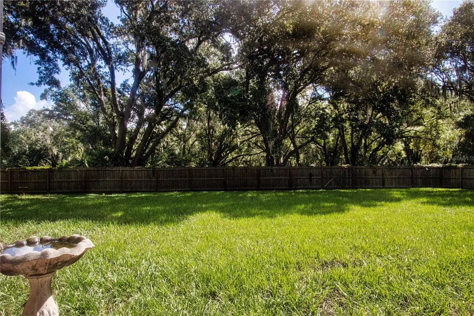 Back fenced in area with another almost acre of unused land - 1605 BUTCH CASSIDY TRL, WIMAUMA