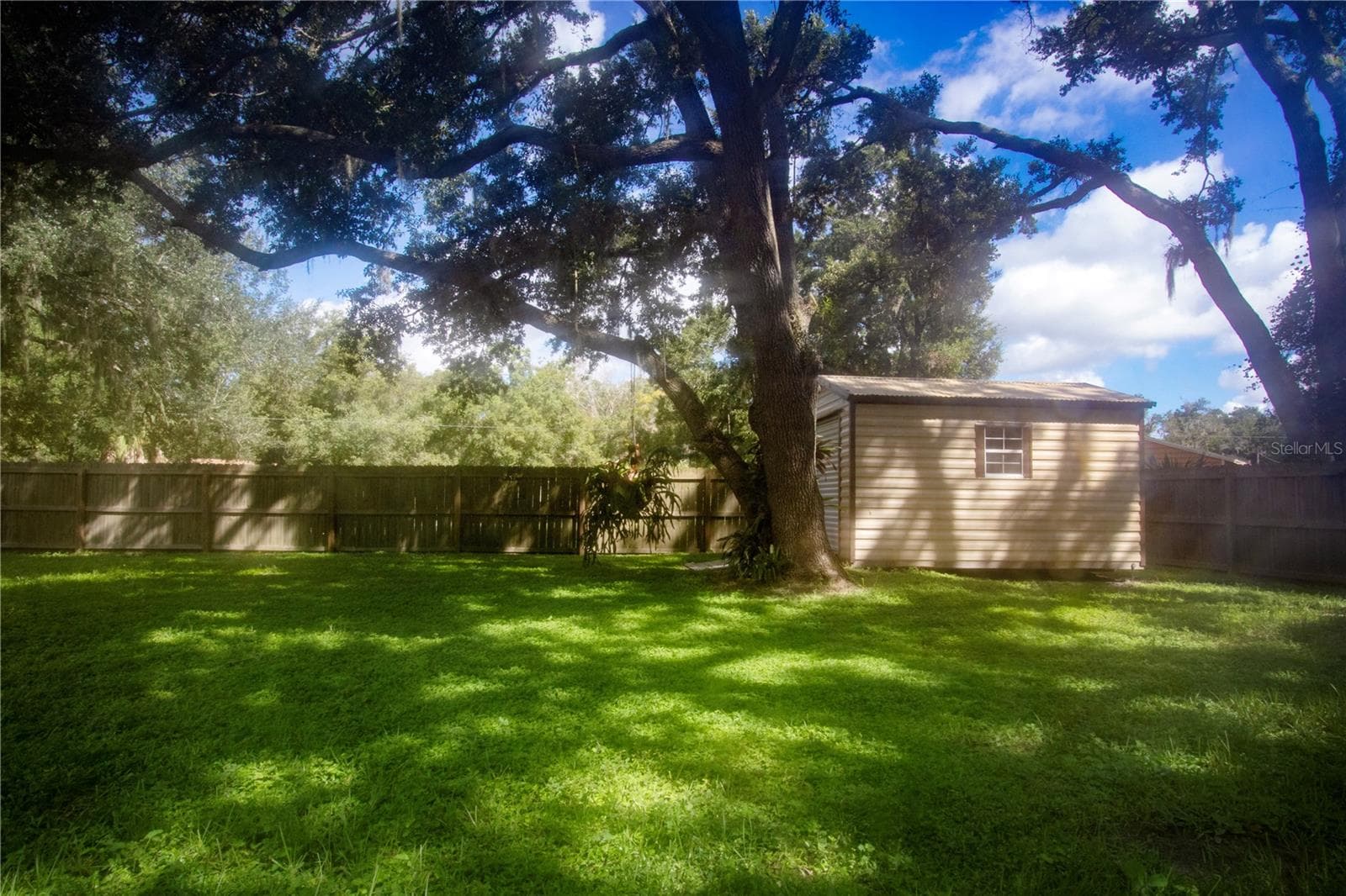 Back fenced in area with view of the shed - 1605 BUTCH CASSIDY TRL, WIMAUMA