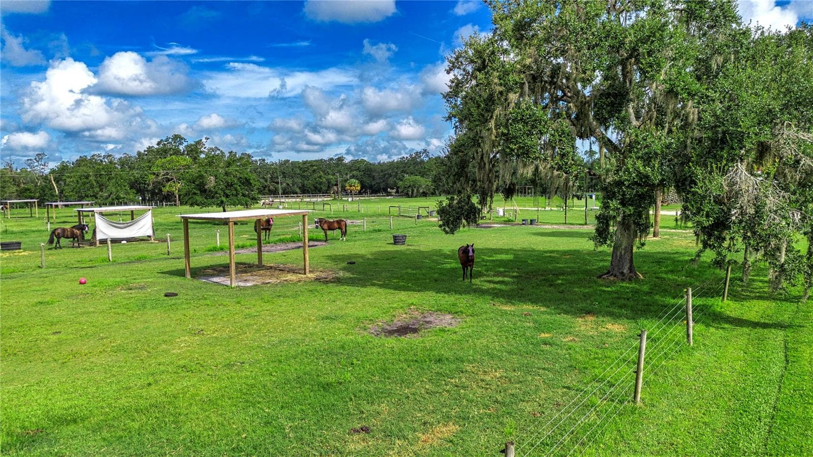 Pasture shot of some of the paddocks - 1605 BUTCH CASSIDY TRL, WIMAUMA