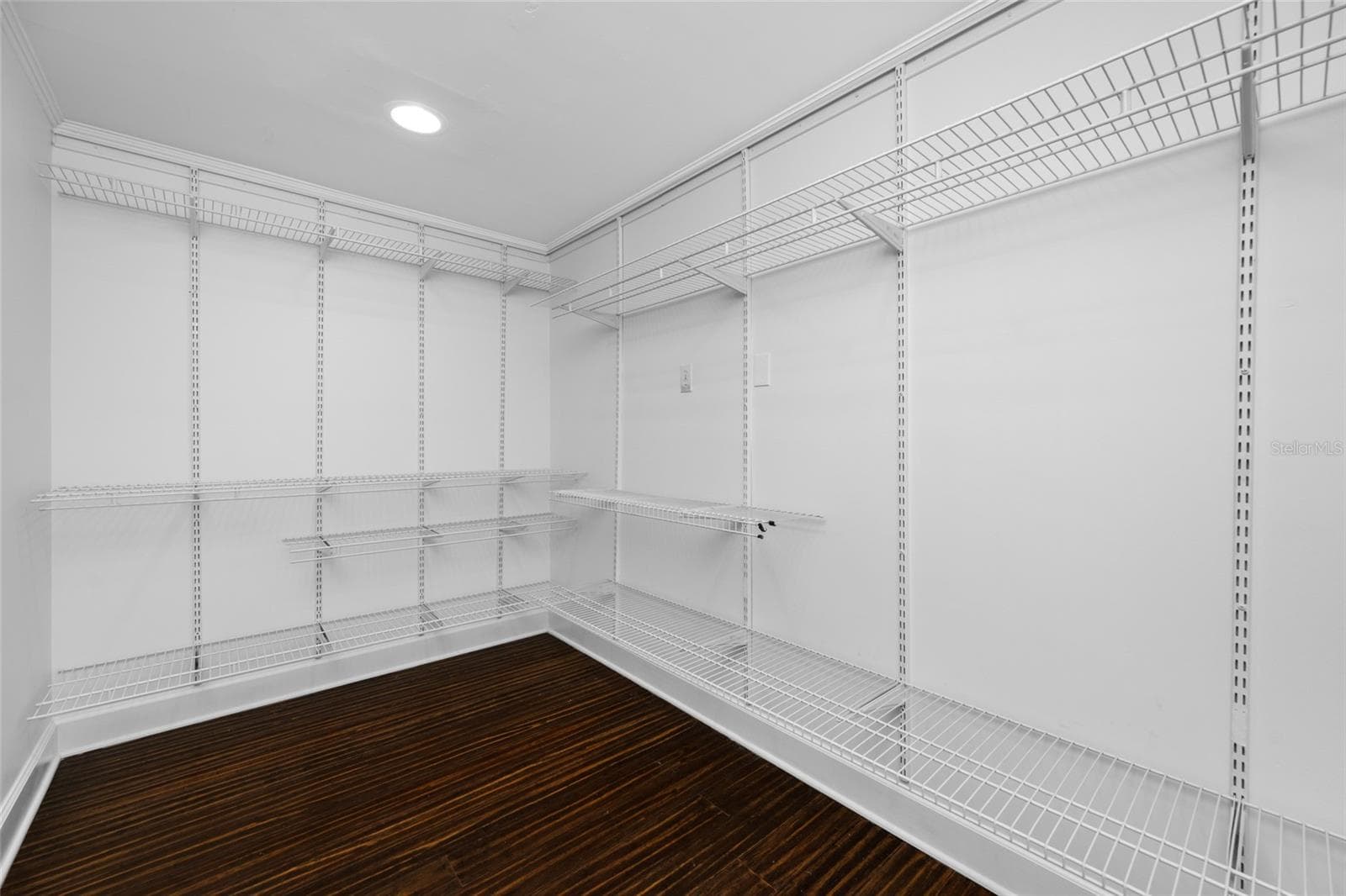 Primary walk -in closet - 2121 W FARWELL DR, TAMPA