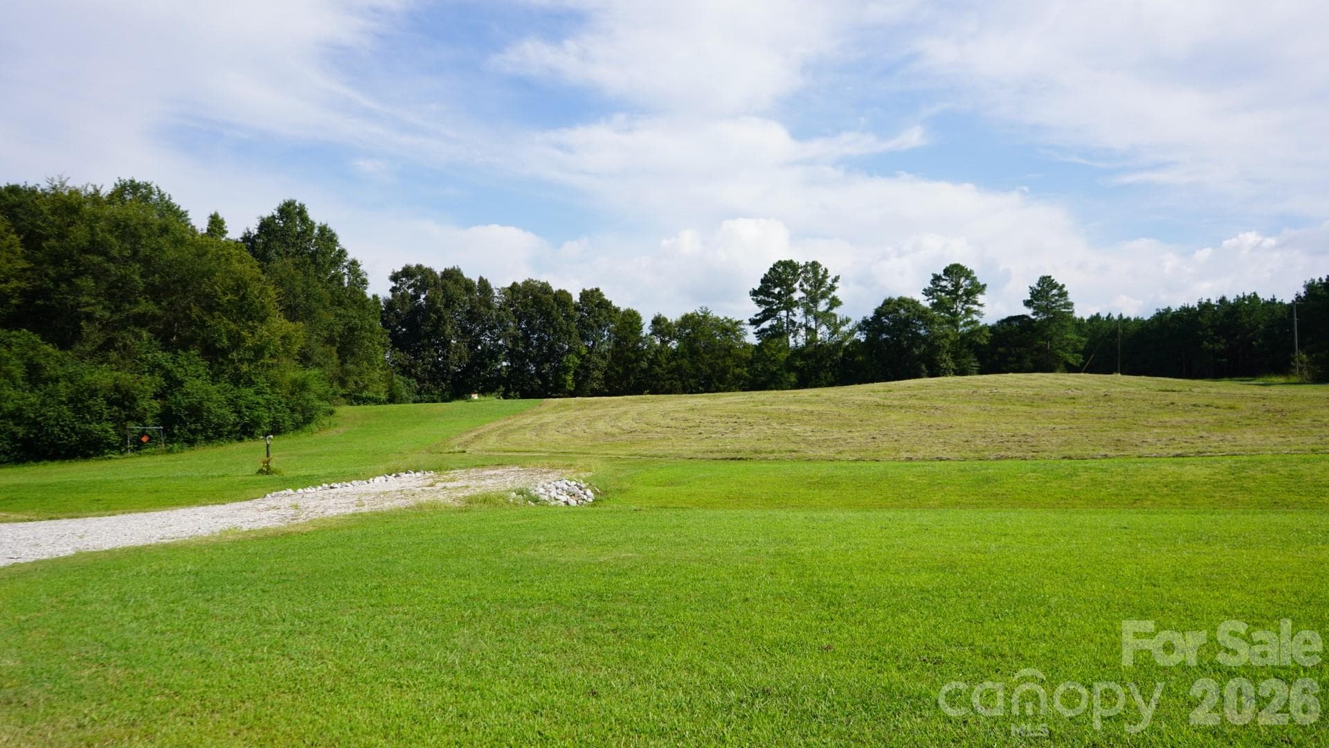 Views of Cleared Land - 1244 Ross Wright Road, Polkton