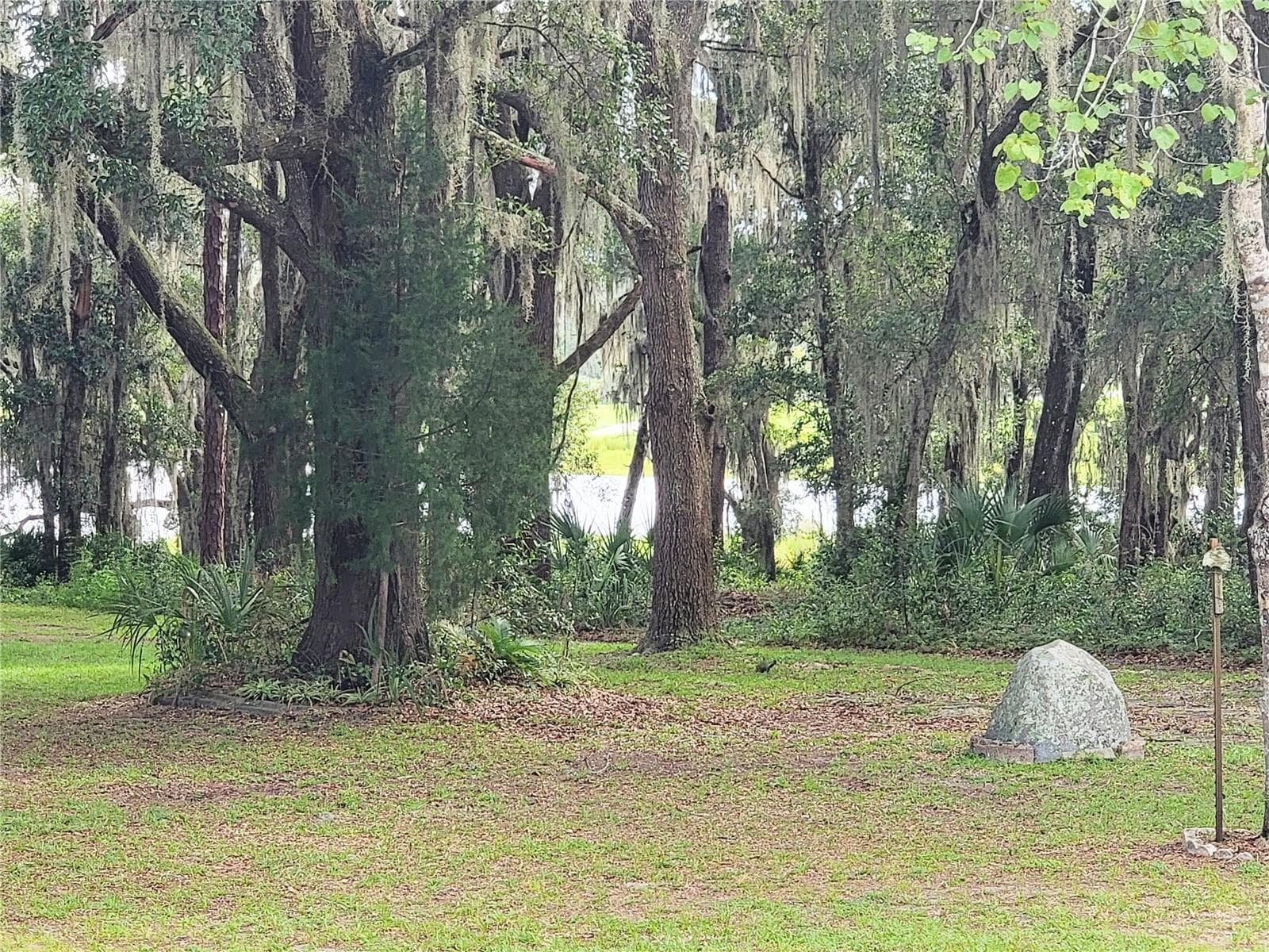 View of Tiger Lake - 4534 SW CLEARWATER CT, DUNNELLON