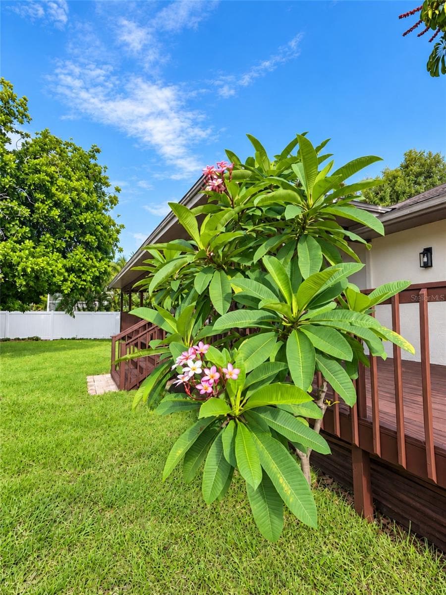 Mature tropical landscaping surrounds the backyard for exceptional privacy. - 630 PINTA DR, TIERRA VERDE