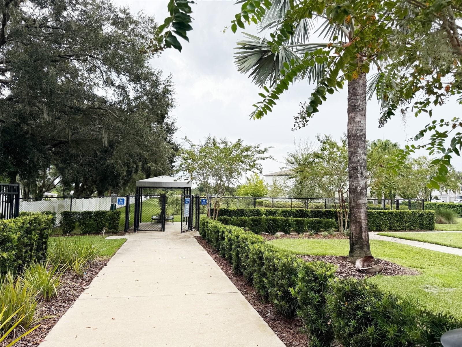 Townhouse at 6279 SHINER ST, LAND O LAKES, photo 61 of 61