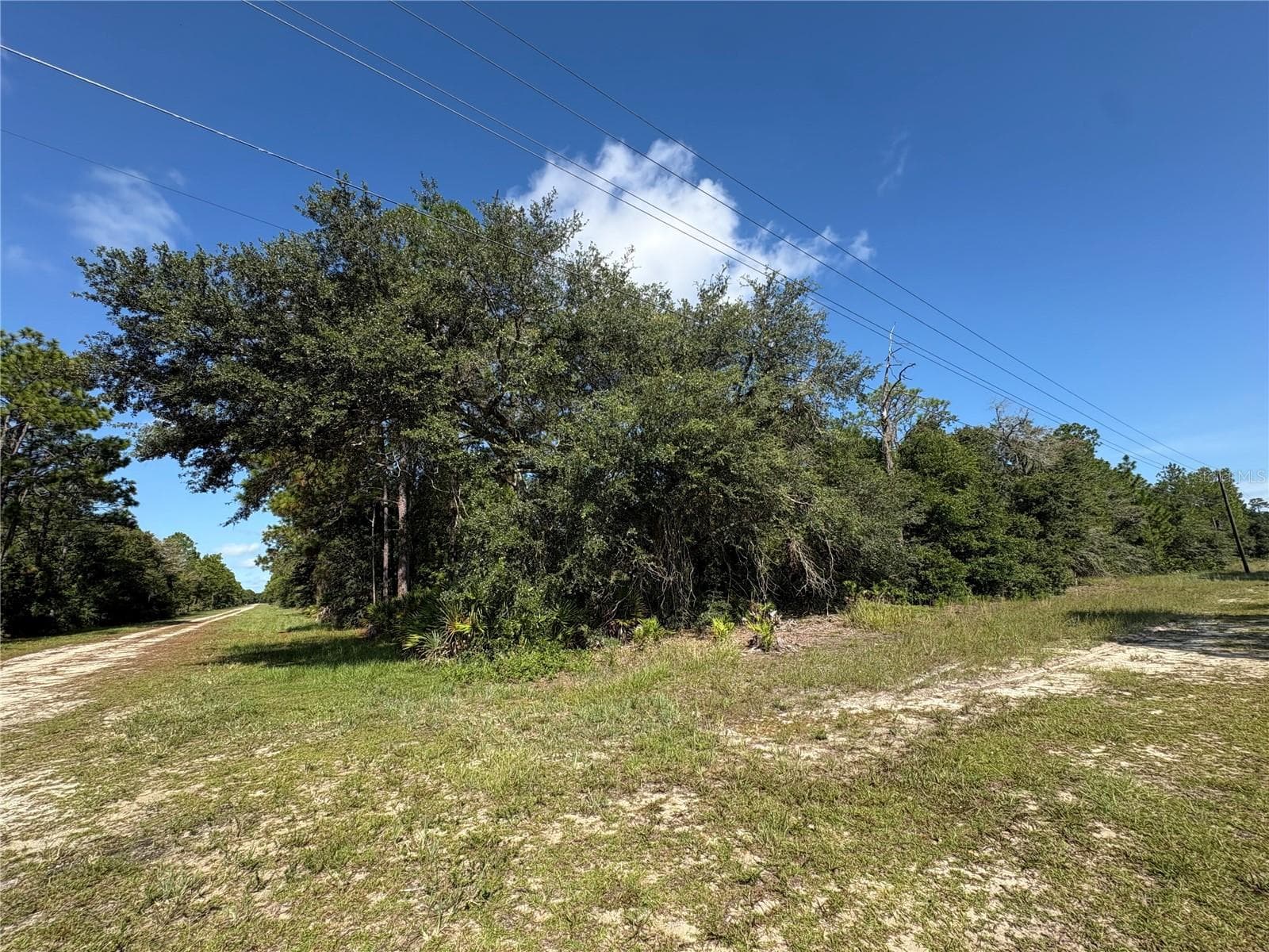 Corner LOt - 0 ALBA, INDIAN LAKE ESTATES