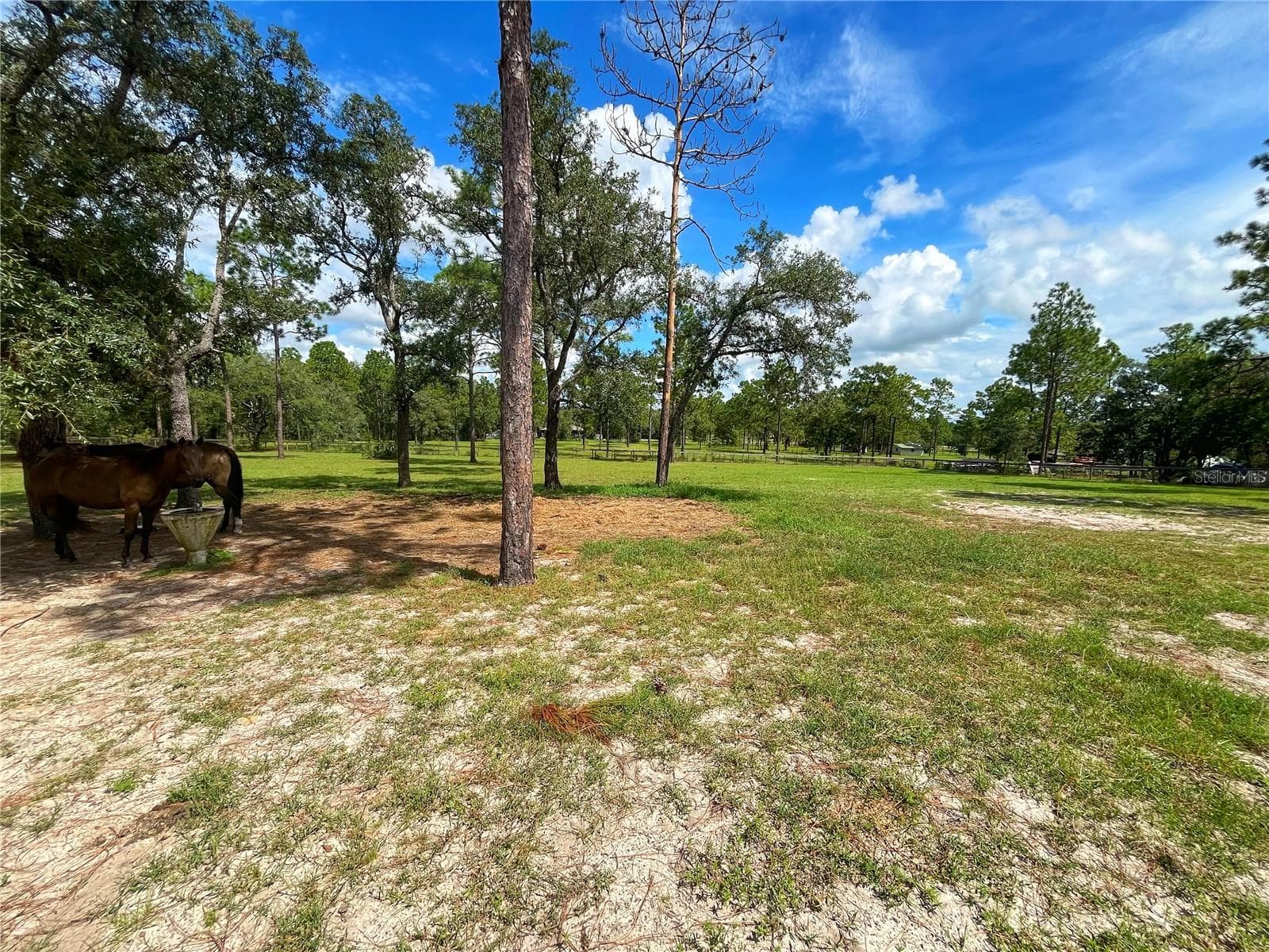 Single Family Residence at 13591 SE 85TH PL, DUNNELLON, photo 60 of 76