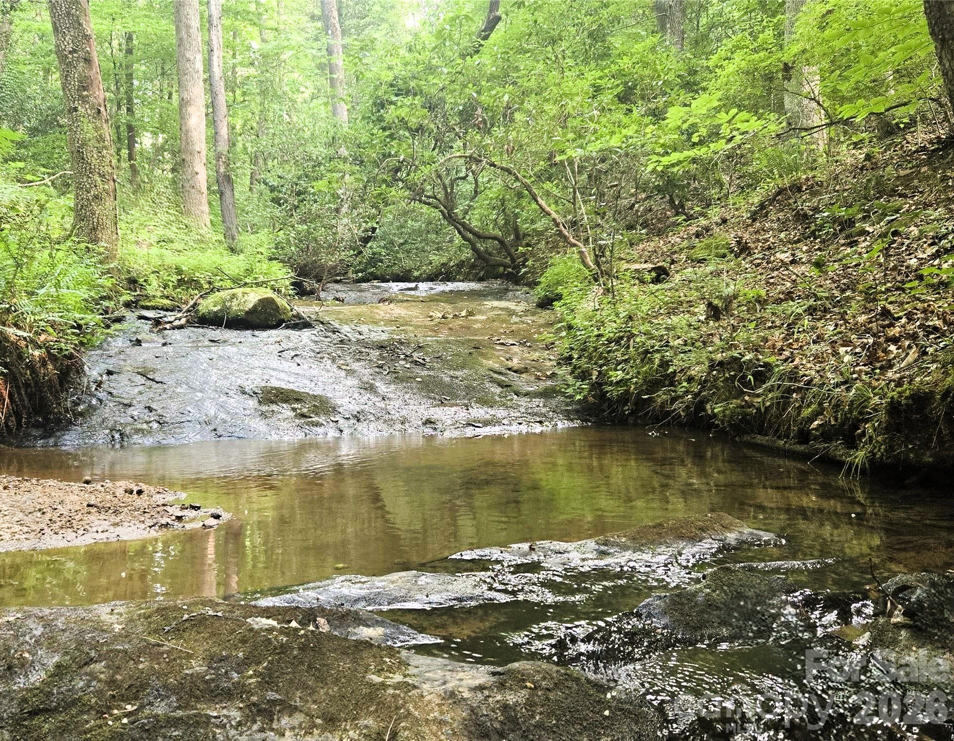 A fun and functional creek running through with trails throughout - Lake Lure