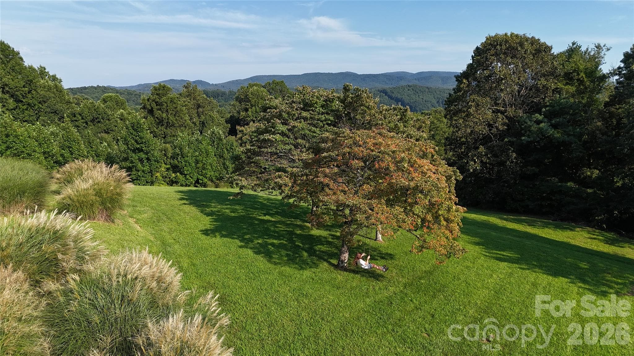 Enjoy rolling in the grass or swinging in the trees soaking up the mountain air with those amazing views! - 93 Orchard Hill, Saluda