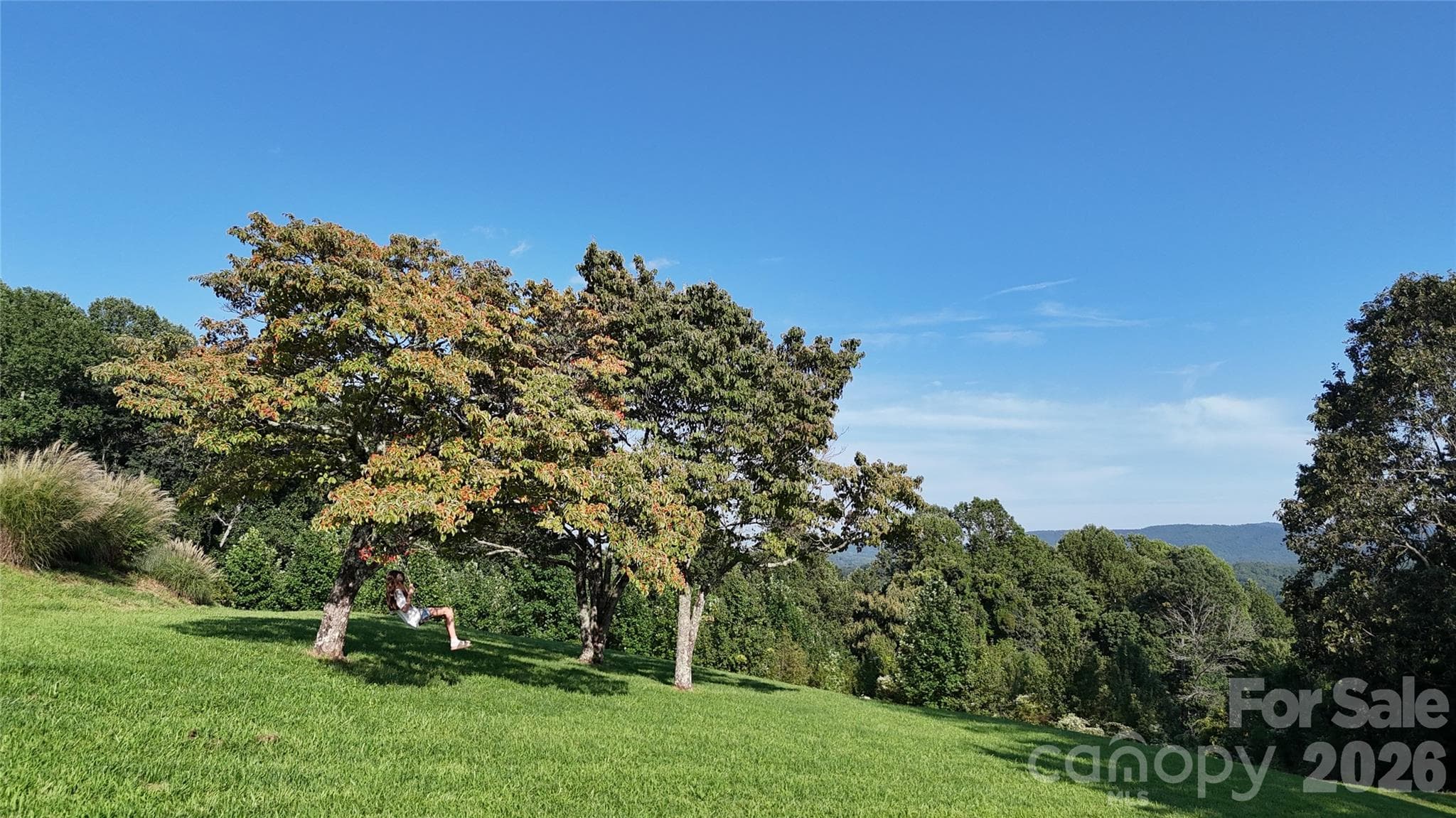 Enjoy rolling in the grass or swinging in the trees soaking up the mountain air with those amazing views! - 93 Orchard Hill, Saluda