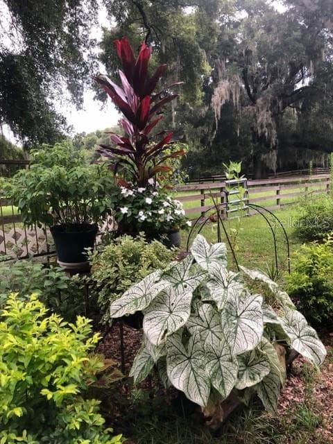 Farm at 12550 SW 16TH AVE, OCALA, photo 51 of 51