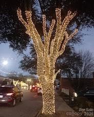Christmas - 276 Mulberry Street, Forest City