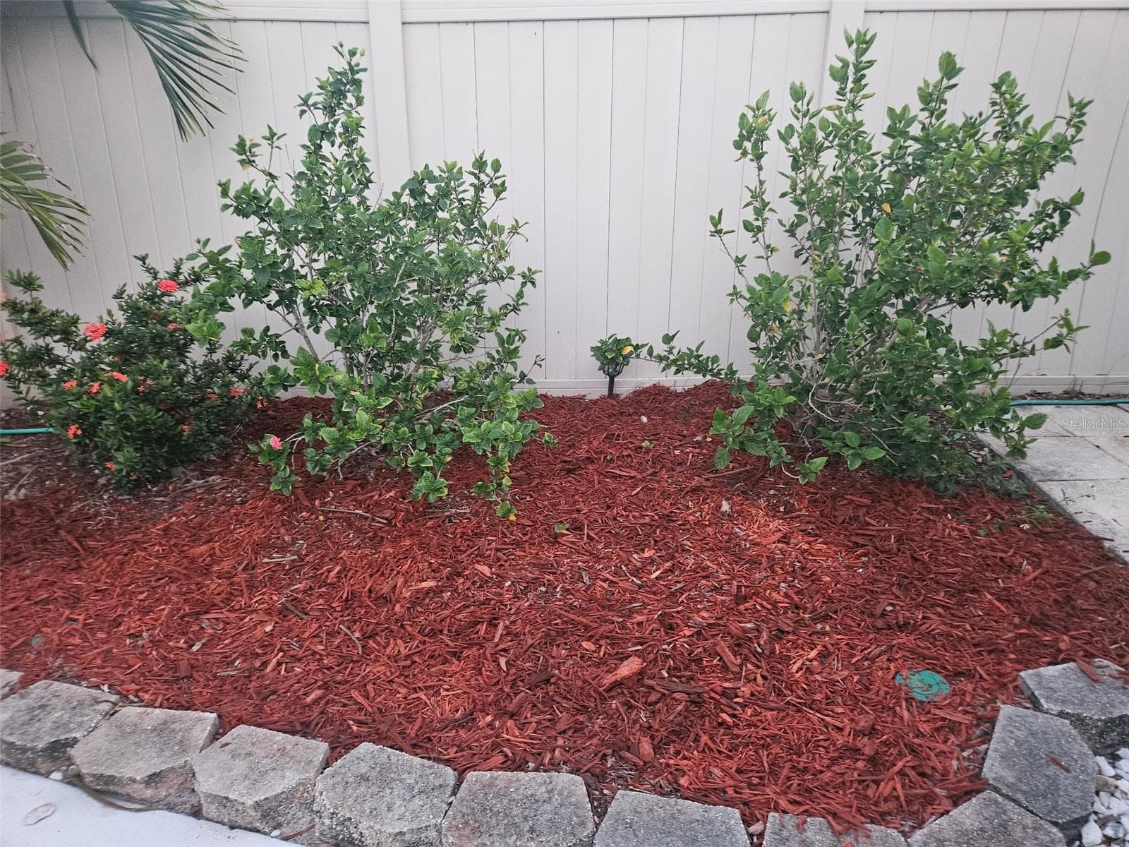 Beautiful mature landscaping and fresh woodchips. - 704 23RD ST SW, LARGO