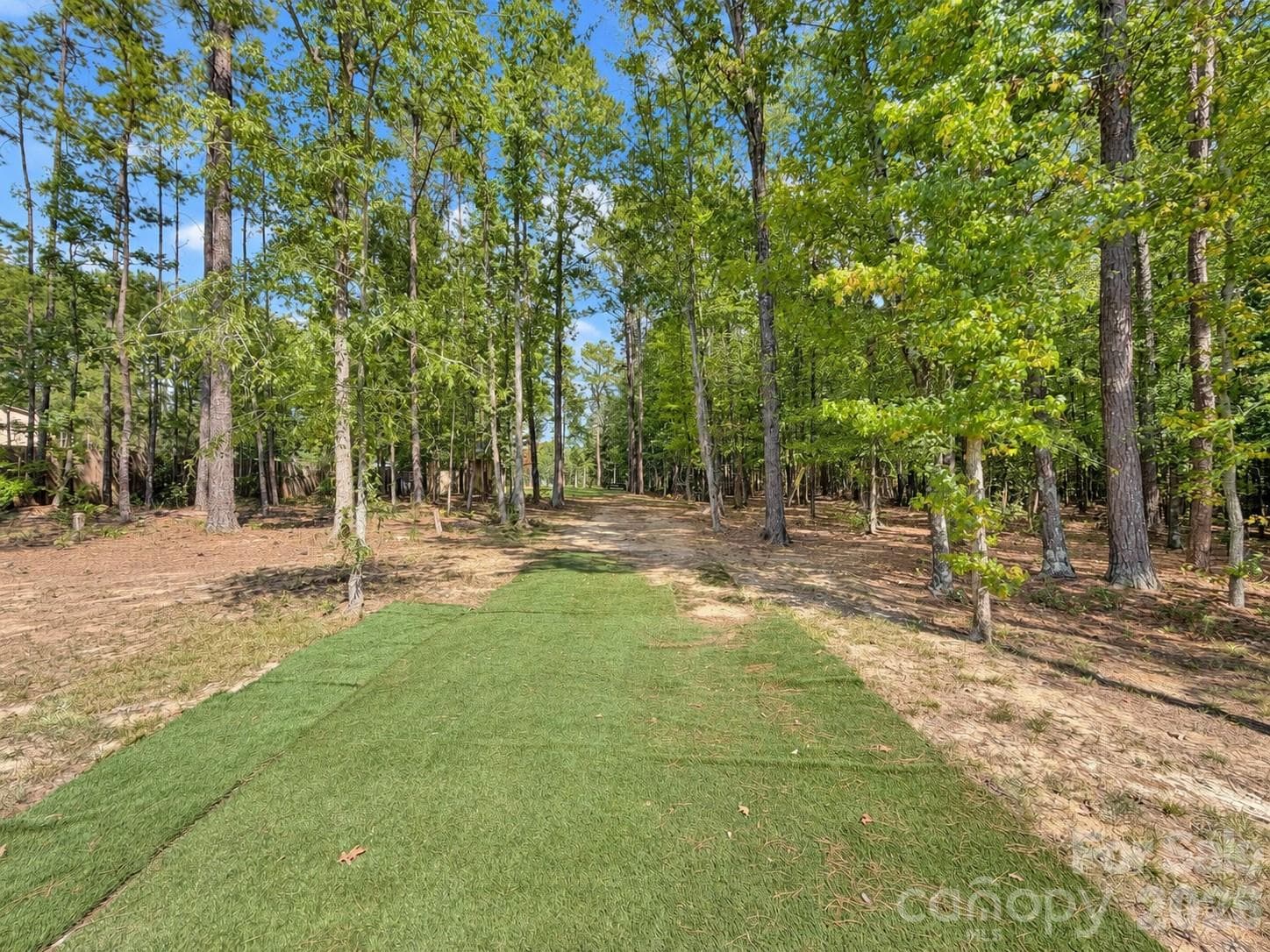 Turf walk way to the secondary back yard through the woods - 9201 Providence Road S, Waxhaw