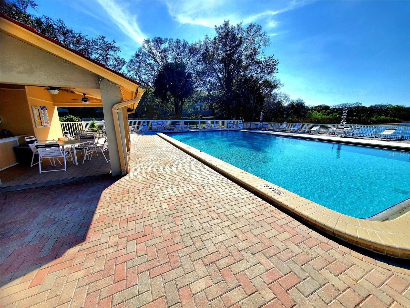 POOL AND CABANA - 2053 VILLA TER, CLEARWATER