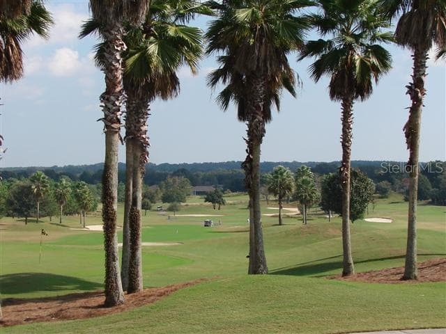 Golf Course - 9588 SE 124TH LOOP, SUMMERFIELD