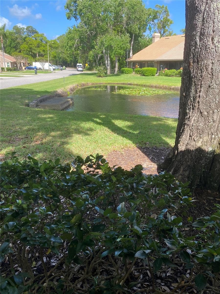 Villa at 3134 WINDMOOR DR N, PALM HARBOR, photo 34 of 40