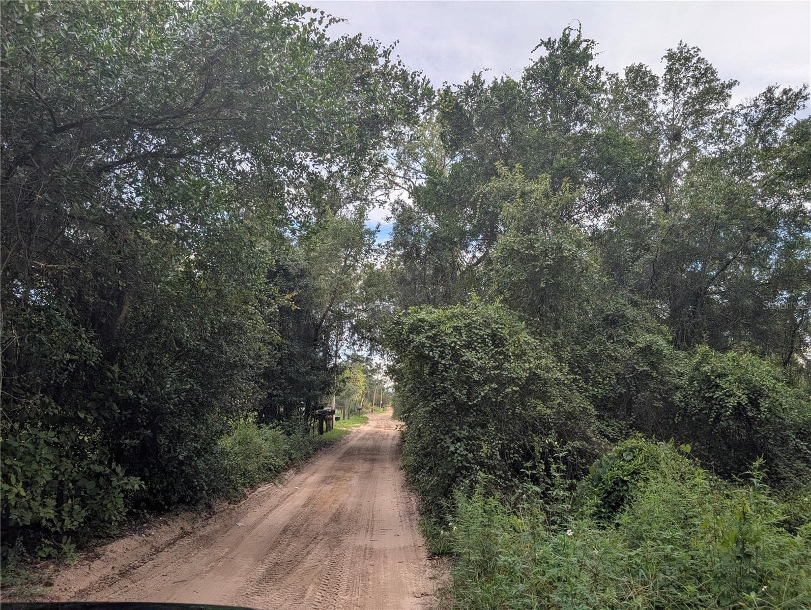 Entry road to the property - 20683 SE 140TH ST, UMATILLA