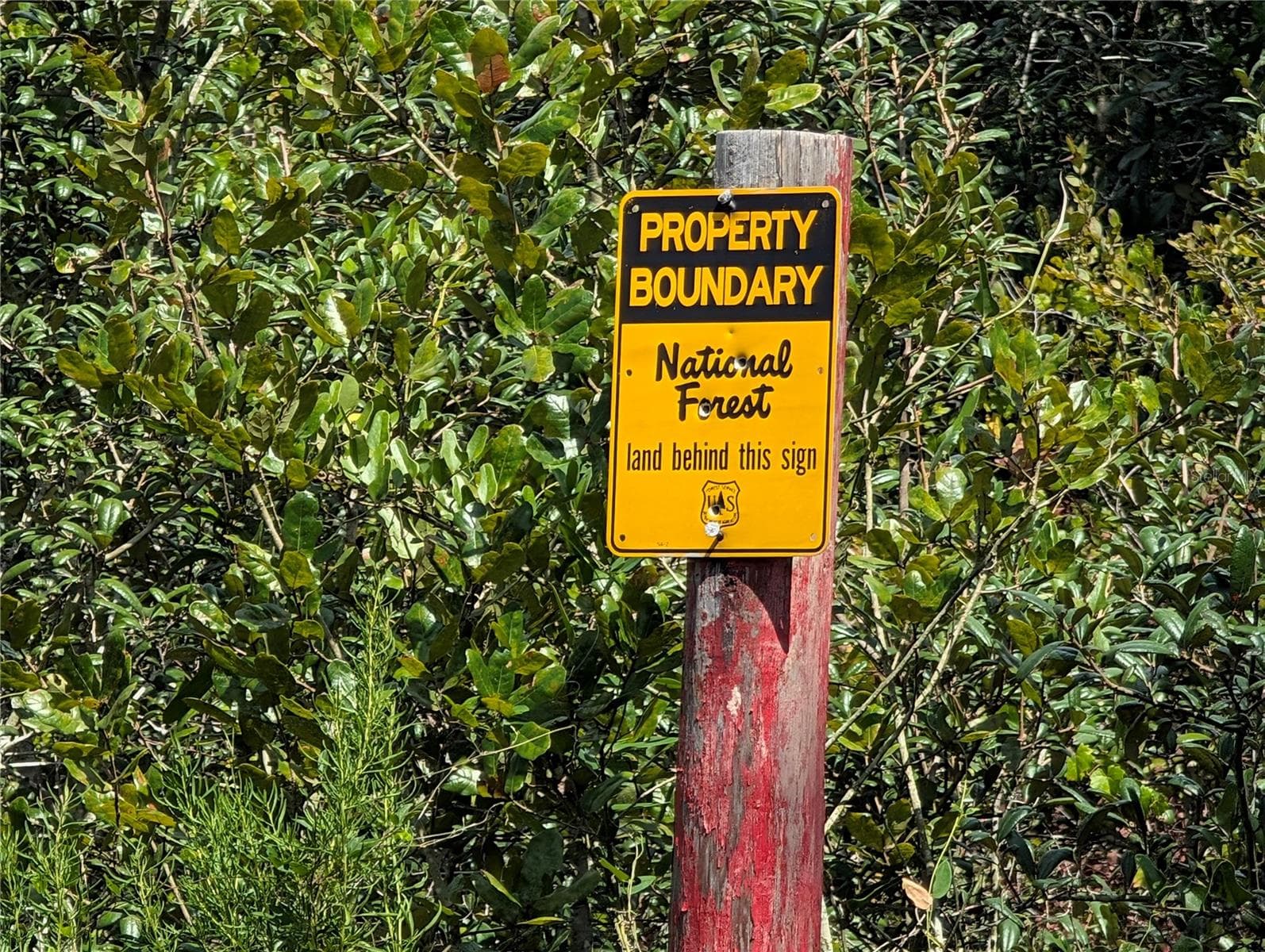ON the border of the Ocala Forest - 20683 SE 140TH ST, UMATILLA