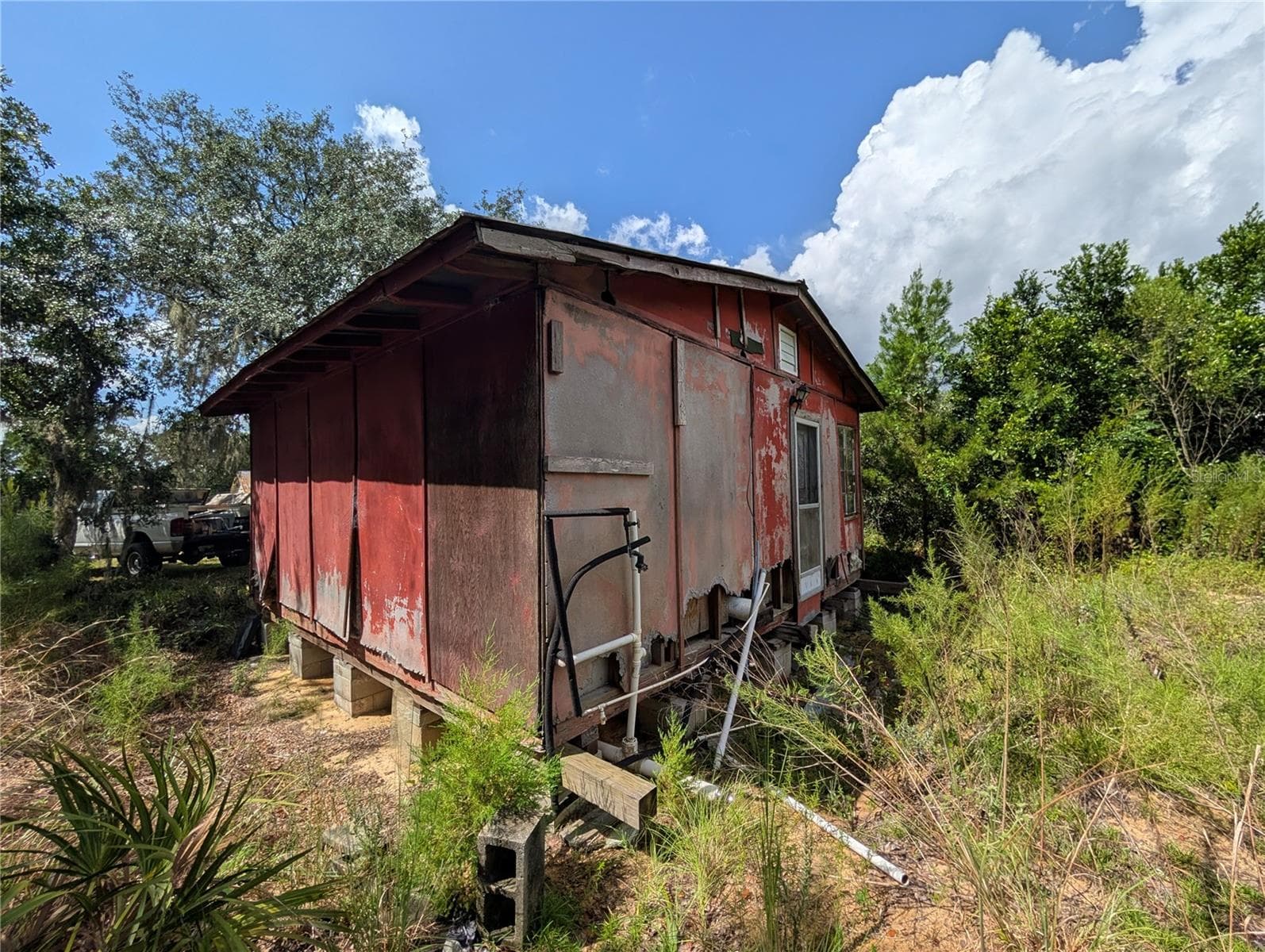 Back of the cabin - 20683 SE 140TH ST, UMATILLA