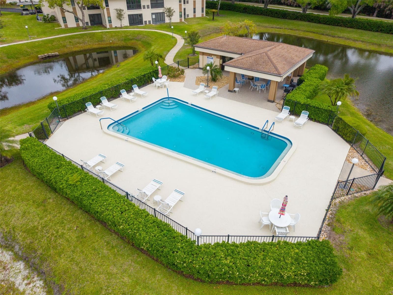 Heated community pool just steps from your front door~ - 2700 NEBRASKA AVE #5-205, PALM HARBOR