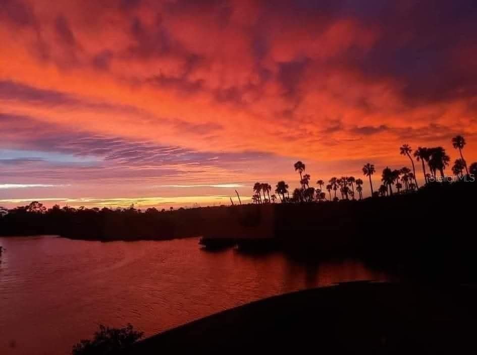 View from the Back of the Unit: - 9940 EAGLES POINT CIR #3, PORT RICHEY