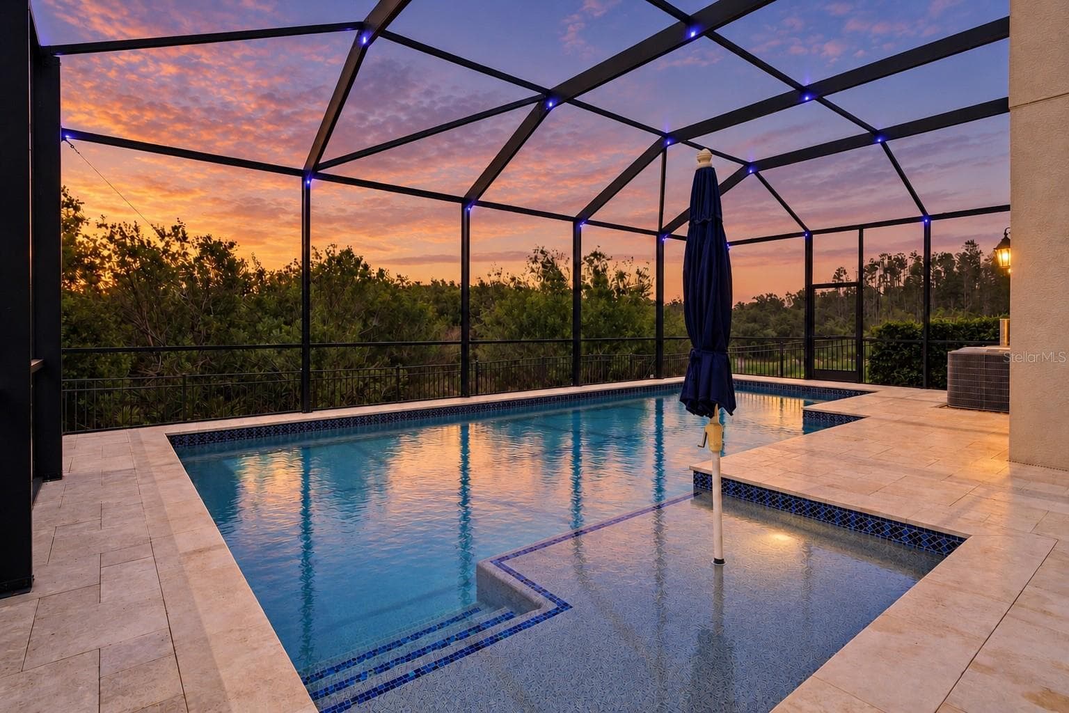Nebula lighting along pool cage - 30351 TRISTANIA CT, WESLEY CHAPEL