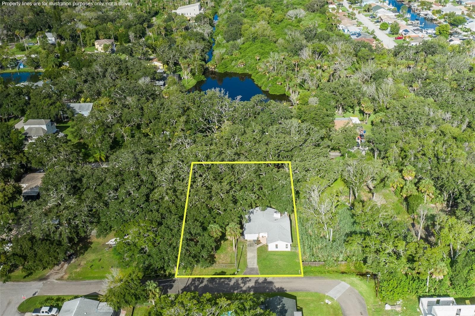 Single Family Residence at 4715 NEEDLE PALM DR, NEW PORT RICHEY, photo 4 of 58