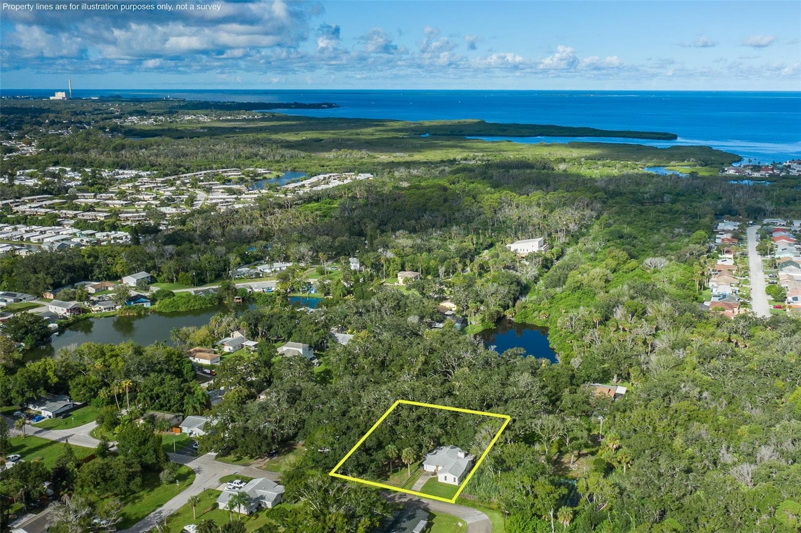 Single Family Residence at 4715 NEEDLE PALM DR, NEW PORT RICHEY, photo 6 of 58