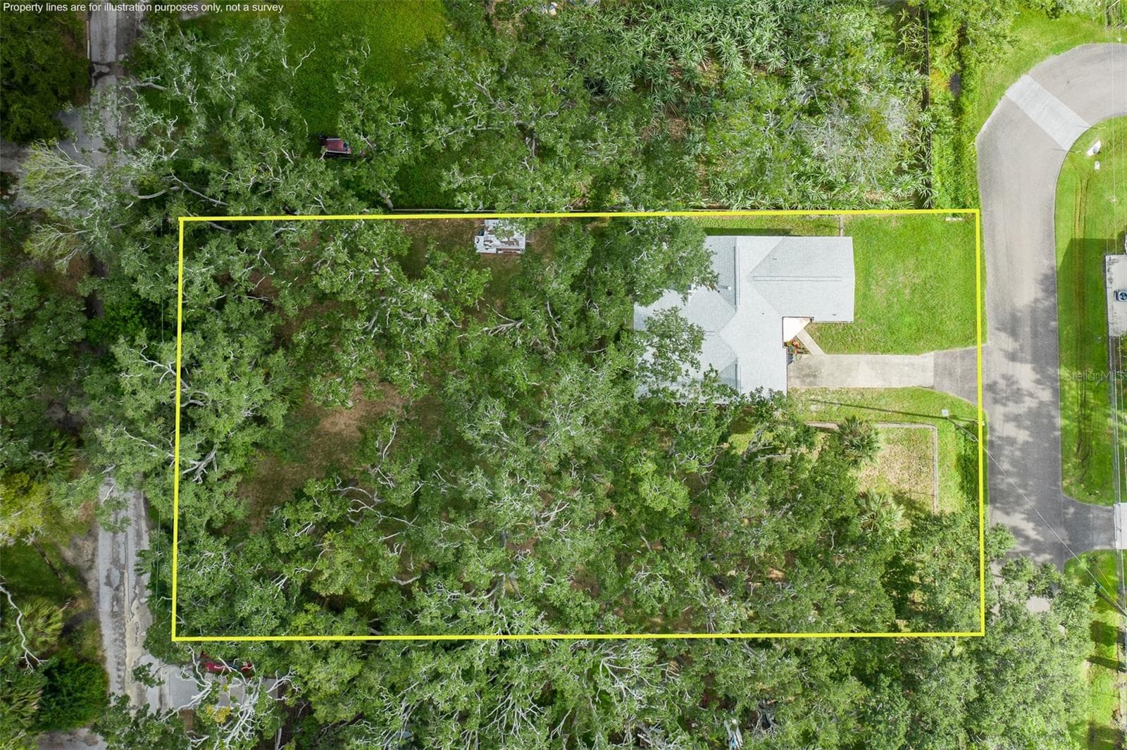 Single Family Residence at 4715 NEEDLE PALM DR, NEW PORT RICHEY, photo 9 of 58